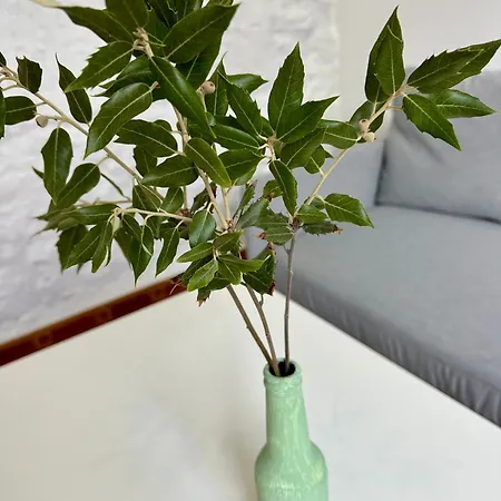 Appartement Simone